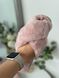Кімнатні тапочки КТ1065/3 рожевий 3745005 фото 7