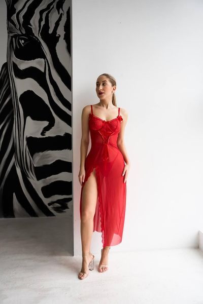Сорочка DO3457 4105419 фото