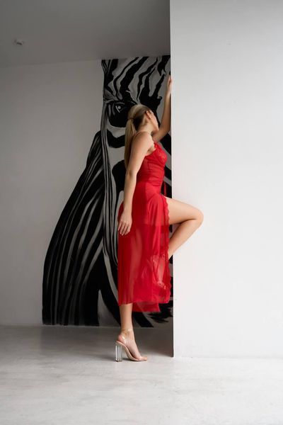 Сорочка DO3457 4105419 фото