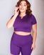 Жіночий спортивний костюм plus size FS1657 Фіолетовий 259513 фото 2